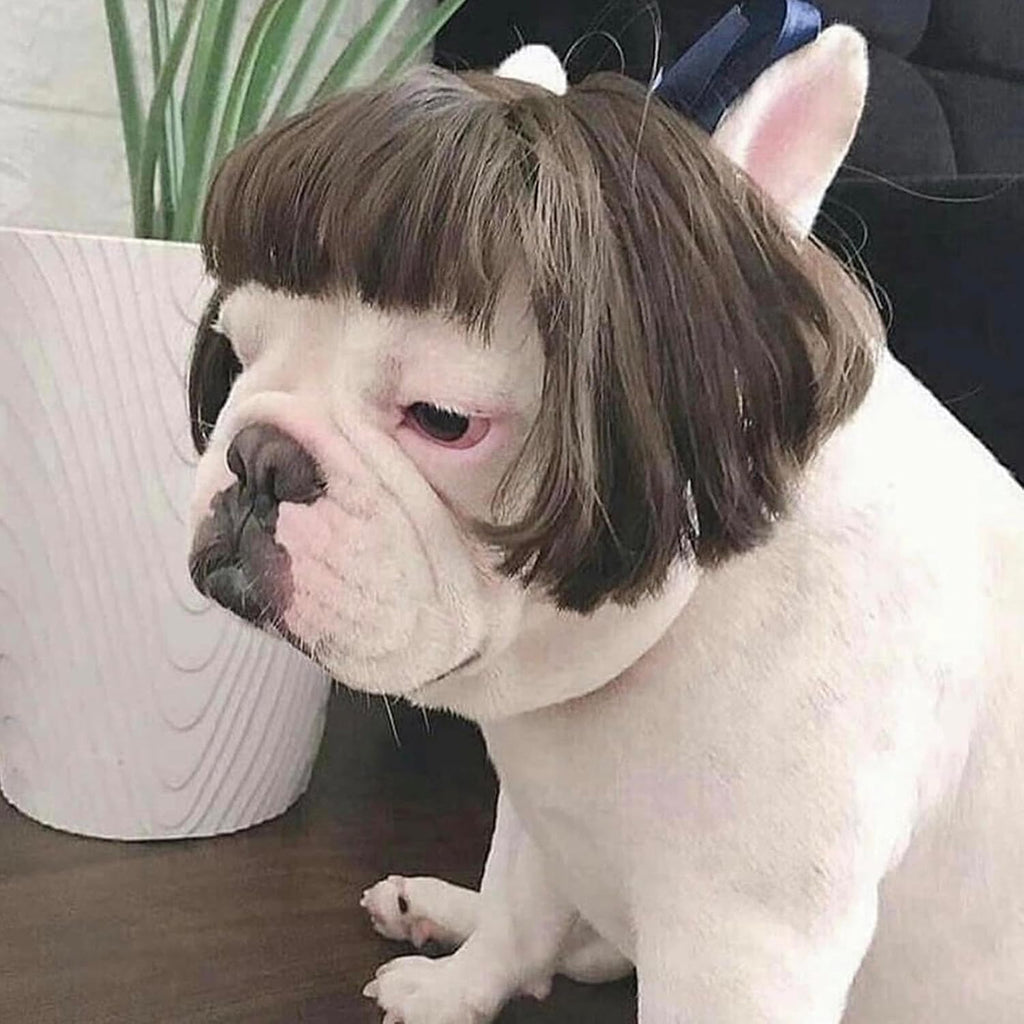 Funny Dog Costume Dog Bob Wig for Cat Doggie Wig