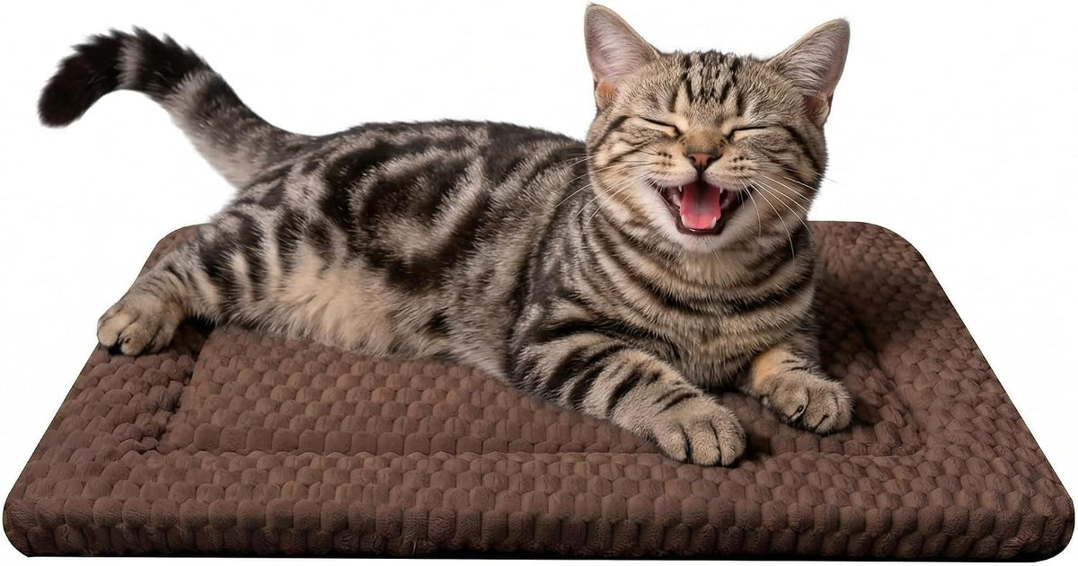 Cat Bed Mat - Durable & Cute Crate Beds for Extra Small Dogs & Cats, Comfortable Kennel Pad for Home, Crate & Travel
