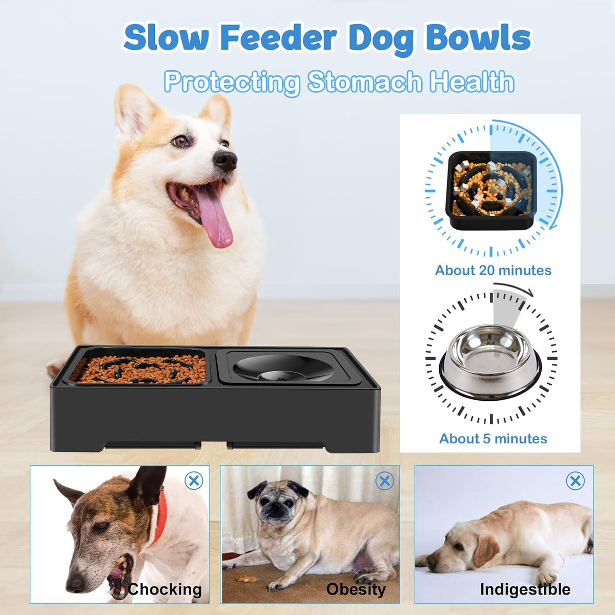 2-in-1 Elevated Dog Bowls, No Spill Water Bowl, Slow Feeder Food Bowl
