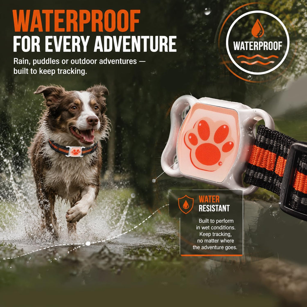 GPS Tracker for Dogs, Smart Collar with Real-Time Locator with Holder Pet Location Tracker, No Monthly Fee/No SIM Card, for Android and iOS, Ultra-Slim, IP68 Waterproof, Reliable