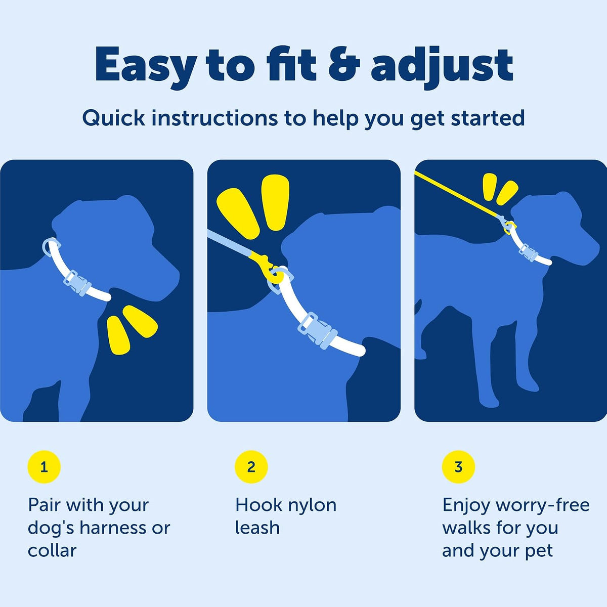 PetSafe Nylon Dog Leash - Strong, Durable, Traditional Style Leash with Easy to Use Bolt Snap - 3/4 in. x 4 ft., Royal Blue