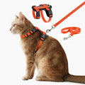 Plutus Pet Adjustable Cat Harness and Leash Set, with Leather Trim
