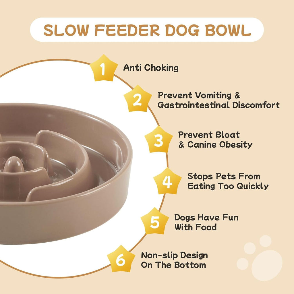 Havniva Elevated Slow Feeder Dog Bowls, 6.1 in Ceramic Slow Feeder Bowl Set