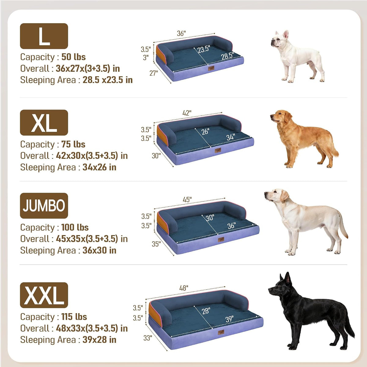 Comfort Expression Orthopedic XL Dog Bed for Large and Extra Large Dogs