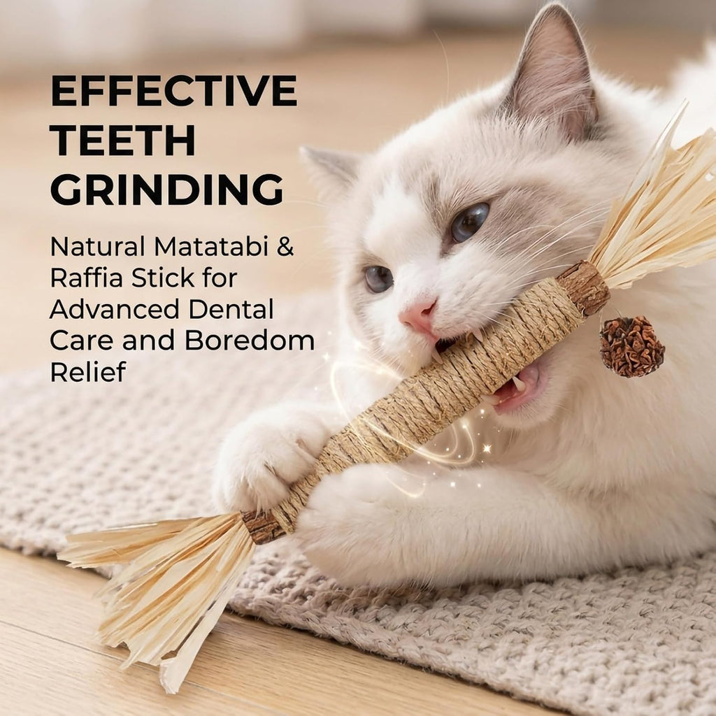 7PK Silvervine Cat Chew Sticks, Natural Dental Treat for Kittens