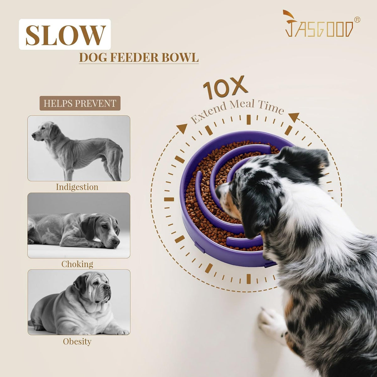 JASGOOD Slow Feeder Bowl for Large Dogs, Anti-Gulping Pet Bowl, Prevents Bloat & Choking 