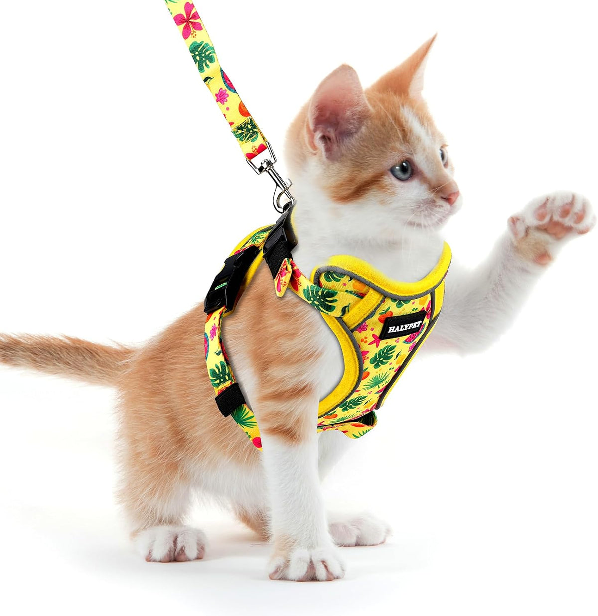 Halypet Cat Harness and Leash Set, Escape Proof Adjustable Harness