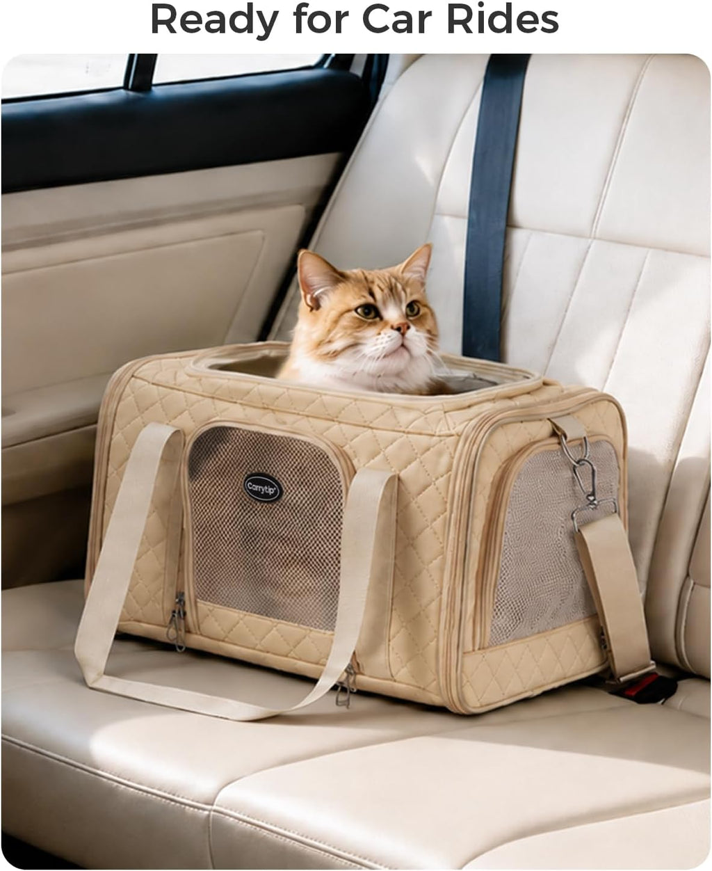 Cat Carrier Airline Approved, Soft Pet Carrier, 17x11x9.5 in, Brown