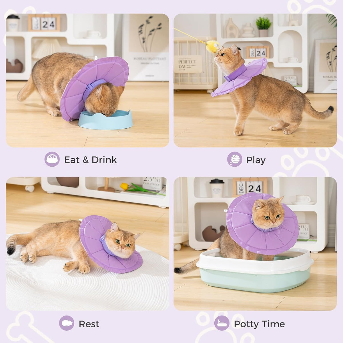 Avont Inflatable Cat Cone, Lightweight Recovery Collar, L Purple