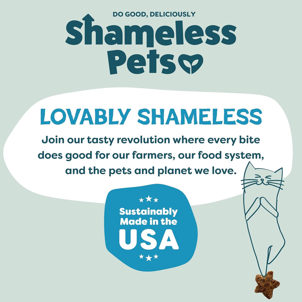Shameless Pets Crunchy Cat Treats - Catnip Treats for Cats with Digestive Support, Kitten Treats with Real Ingredients, Natural & Healthy Flavored Feline Snacks - Fintastic Catnip, 1-Pk