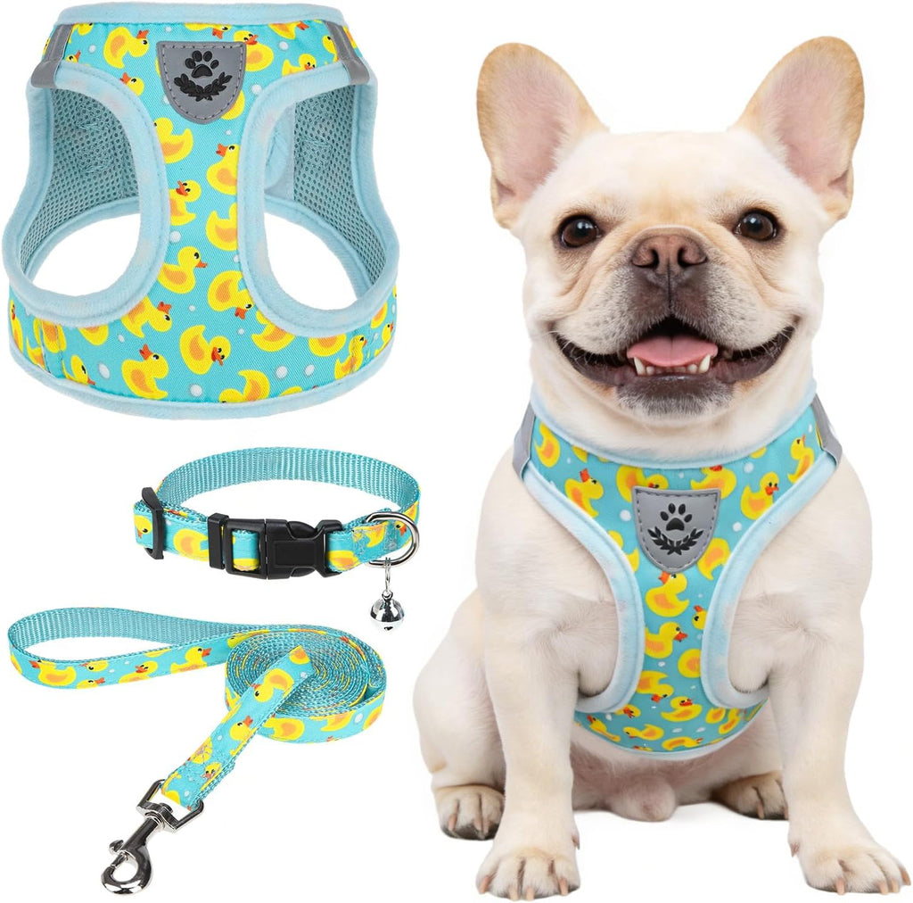 SCENEREAL Small Dog Harness Collar and Leash Set,Cute Puppy Harness No Pull