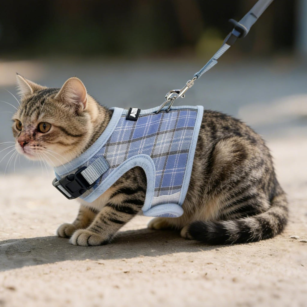 AIITLE Plaid Adjustable Cat Harness and Leash Set Escape Proof, Blue L