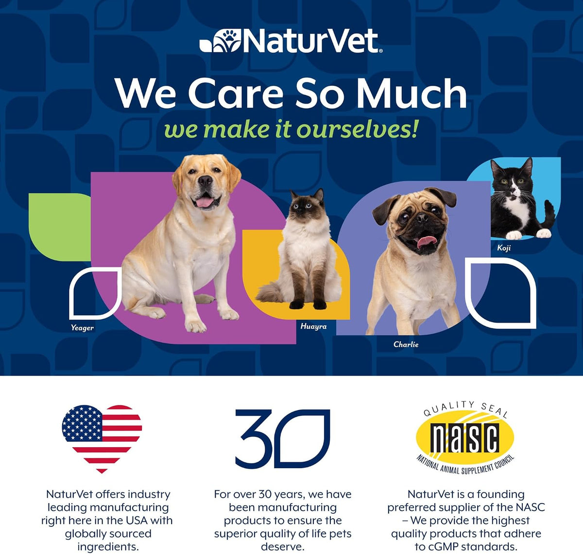 NaturVet Senior Dog Wellness Advanced Hip and Joint Plus Omegas - 40 Ct