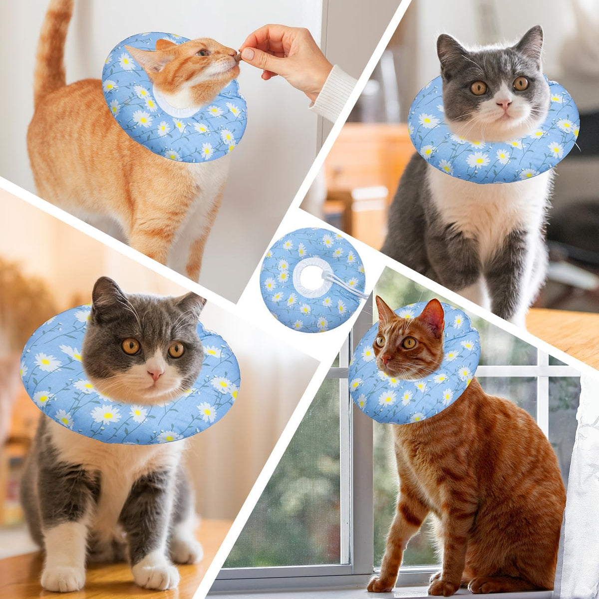 Seyezo Cat Cone Collar, Anti-Bite Cat Recovery Collar, Blue Daisy, Large