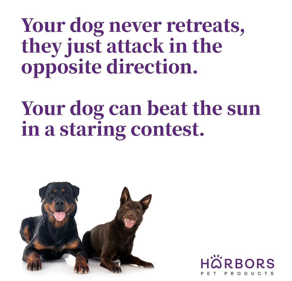 Harbor's Bad Dog Cologne