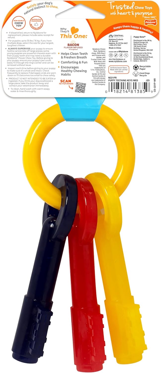 Nylabone Puppy Chew Teething Keys Dog Chew Toy, Bacon Flavor, Medium | Soothing teething toys for puppies, cute puppy essentials, puppy enrichment & teething relief, dogs up to 35 lbs