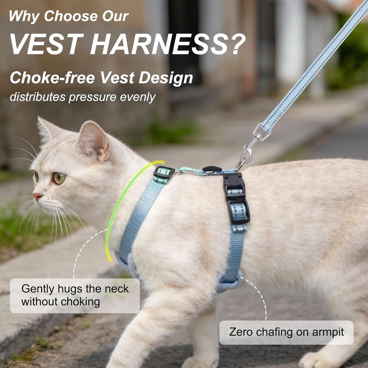 BEAUTYZOO Cat Harness and Leash Set, Escape Proof and Adjustable, Blue