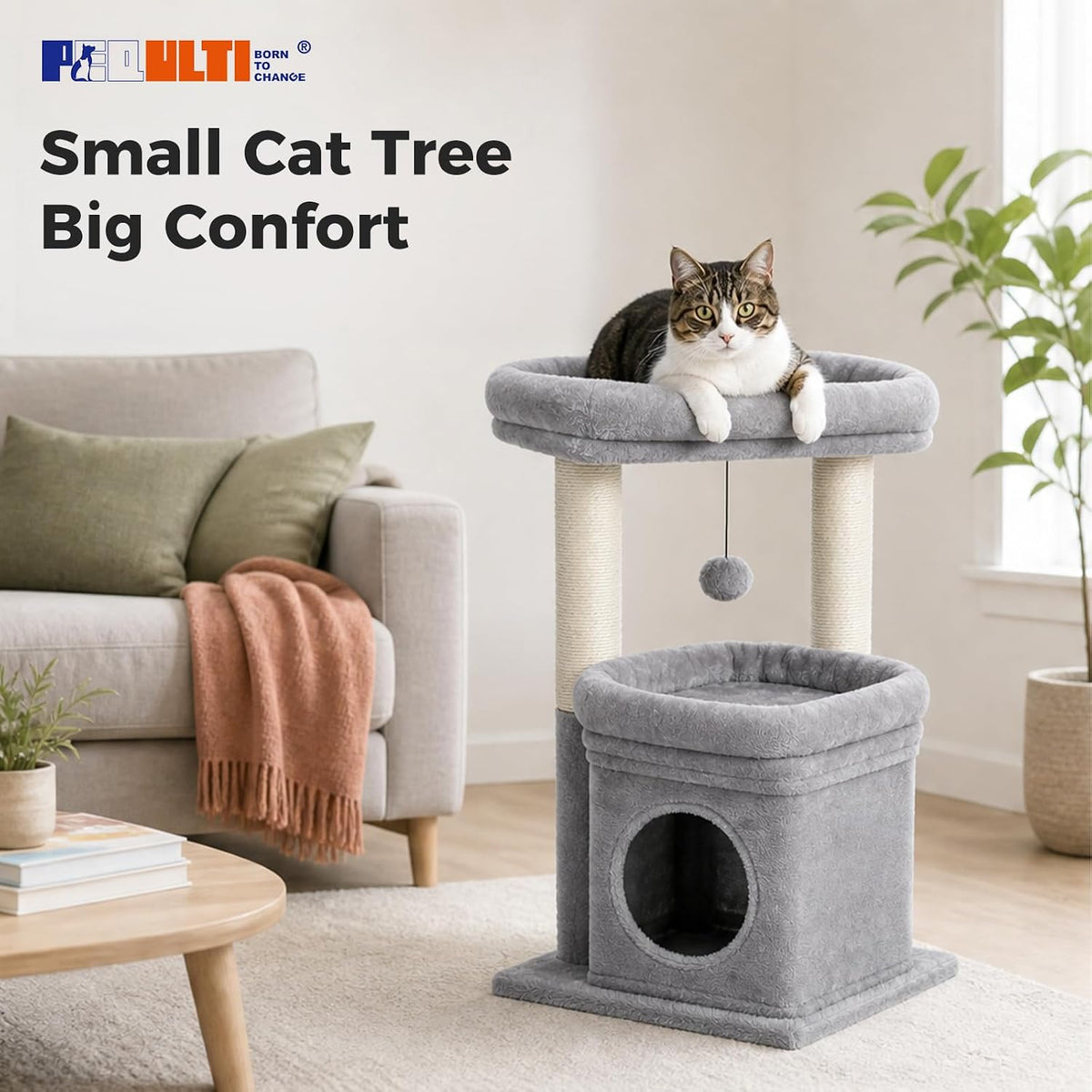 PEQULTI Small Cat Tree Tower for Indoor Cats, Sisal Post & Cozy Condo, Grey