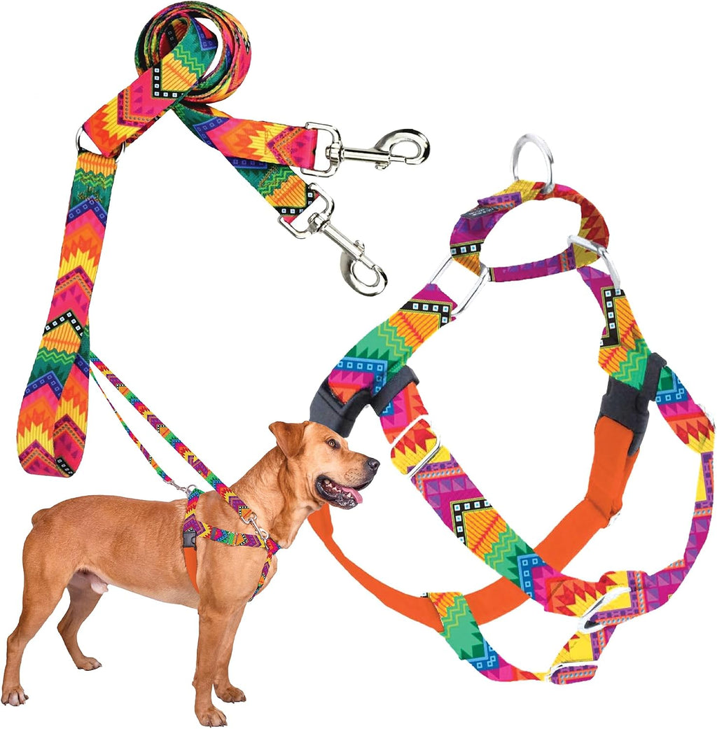 2 Hounds Design - Freedom No-Pull Harness & Training Leash in Multi-Color | Dual Leash Loops, No Pulling on Walks | Lined to Prevent Chaffing | for Large Sized Dogs (Size L, Chest 28”- 32”)