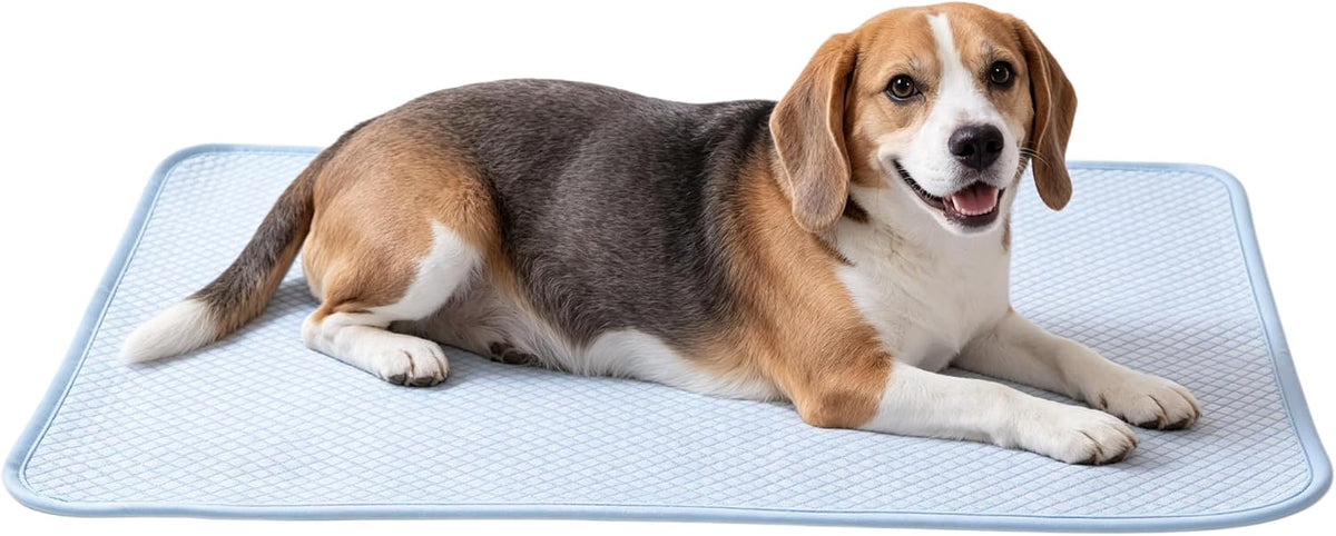 petfelix FrostEase Dog Cooling Mat, Cooling Dog Bed and Cooling Pad for Dog and Cat with Qmax 0.4 Yarn, Breathable 3D Airflow Layers, Machine Washable Non Slip Base for Pets, Blue, M, 28"*20"