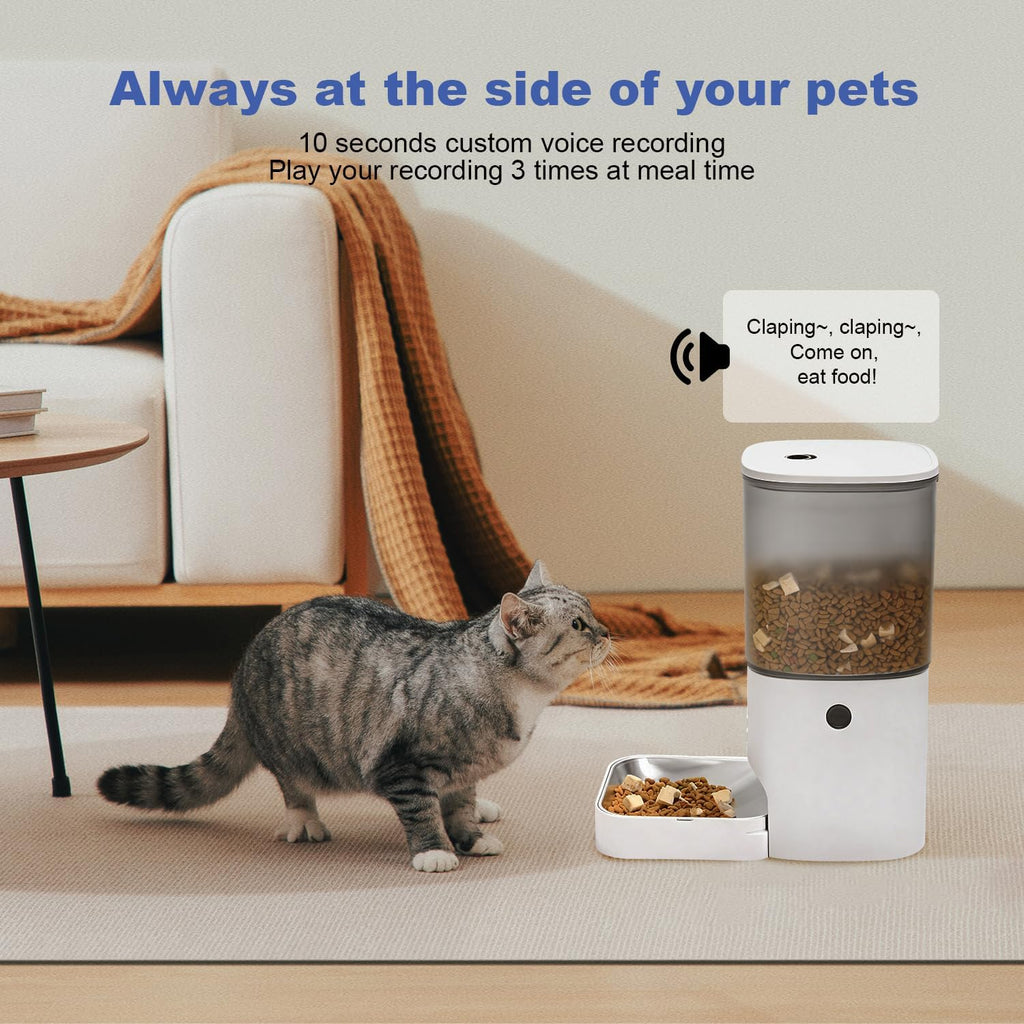 ANDOLL HOME Automatic Cat Feeder, Timed Cat＆Dog Dry Food Dispenser