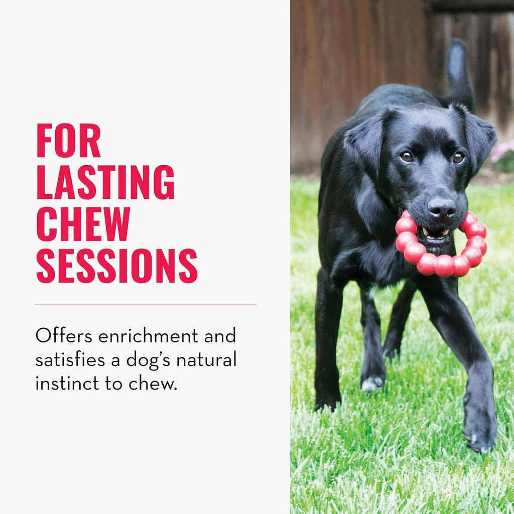 KONG Ring, Natural Rubber Chew Toy for Dental Health, for Extra Large Dogs | KONG Natural Rubber Ring Toy That Supports Healthy Chewing Habits, Dog Dental Health & Natural Play Instincts