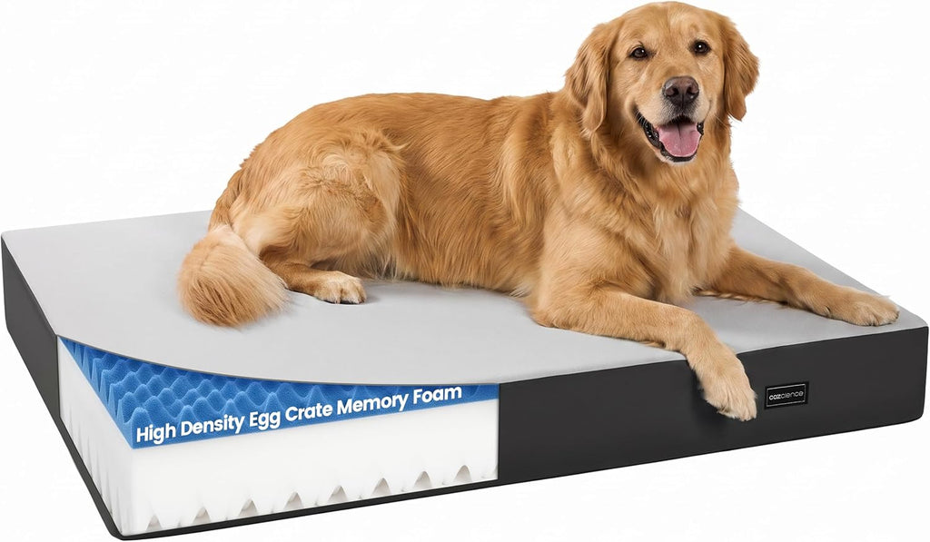 Orthopedic Dog Bed for Medium Large Dogs, 4.5” Thick, Supportive Memory Foam & High Density Egg Crate Foam Pet Mattress, Dual Waterproof Protection, Removable Cover, Nonskid (Grey, 3X-Large)