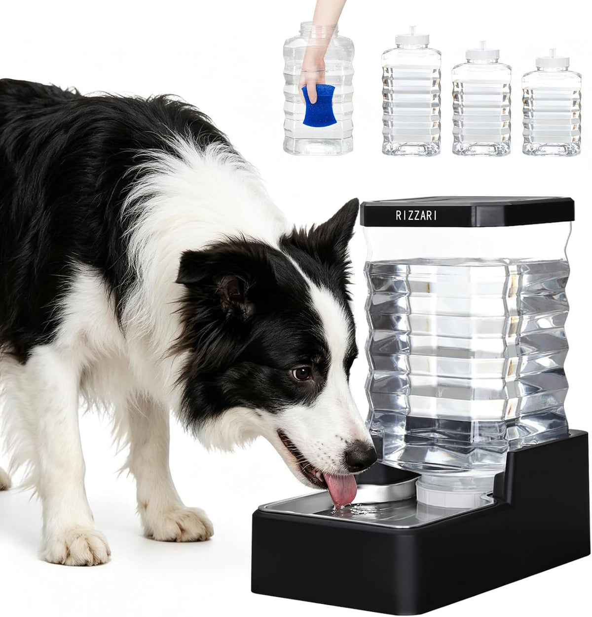 RIZZARI 2.4Gallon Automatic Dog Water Dispenser: Stainless Steel Bowl