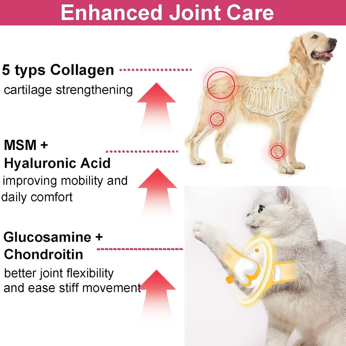 Collagen for Dogs & Cats, 5 Types Collagen for Hip and Joints, Skin & Coat