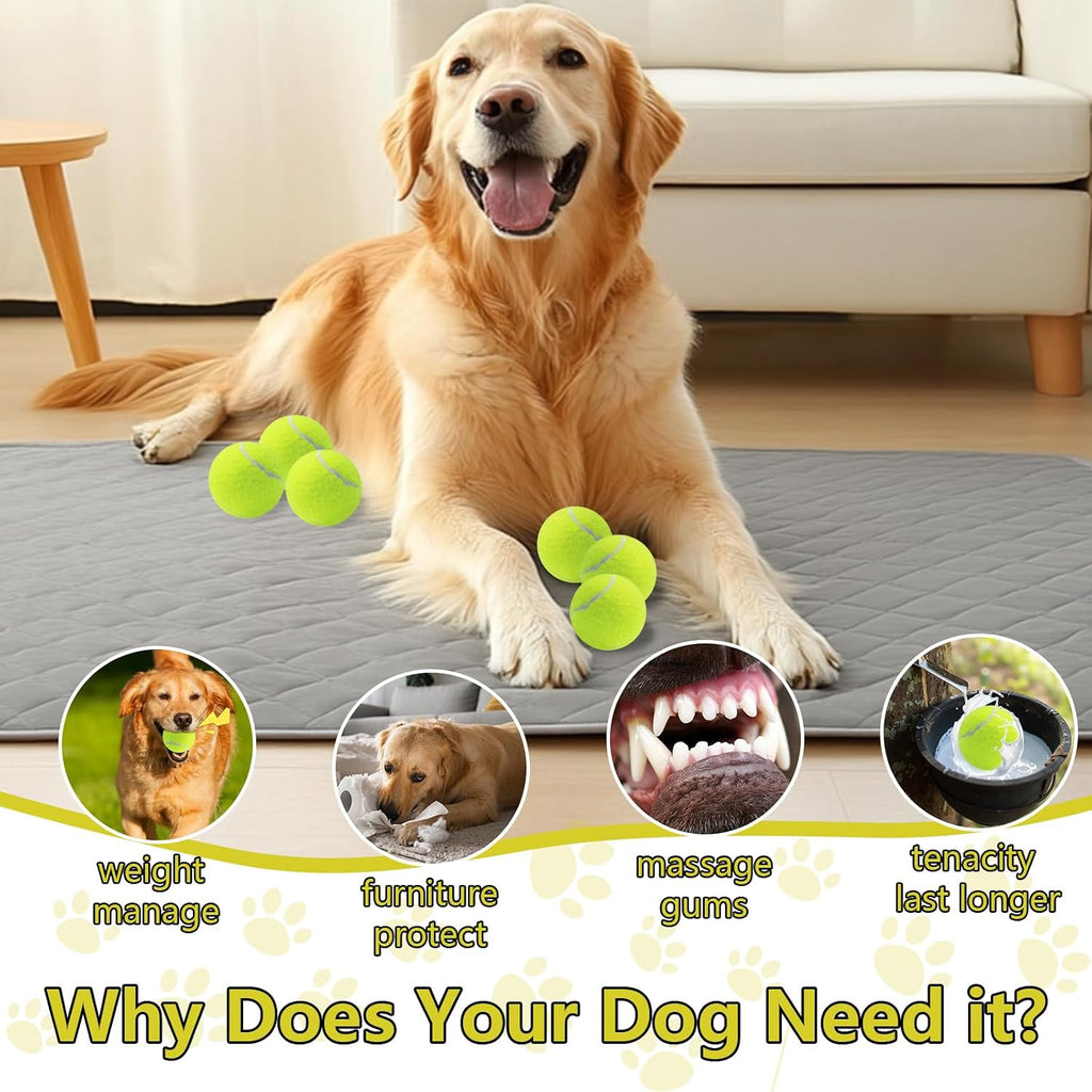 Swingers Squeaky Tennis Balls for Dog, 2.5 Inch Training Tennis Balls | Exercise Ball for Pet Dog with Mesh Carry Bag, Easy to Transport, Yellow, 6 Pack, For Interactive Play, Anxiety Relief