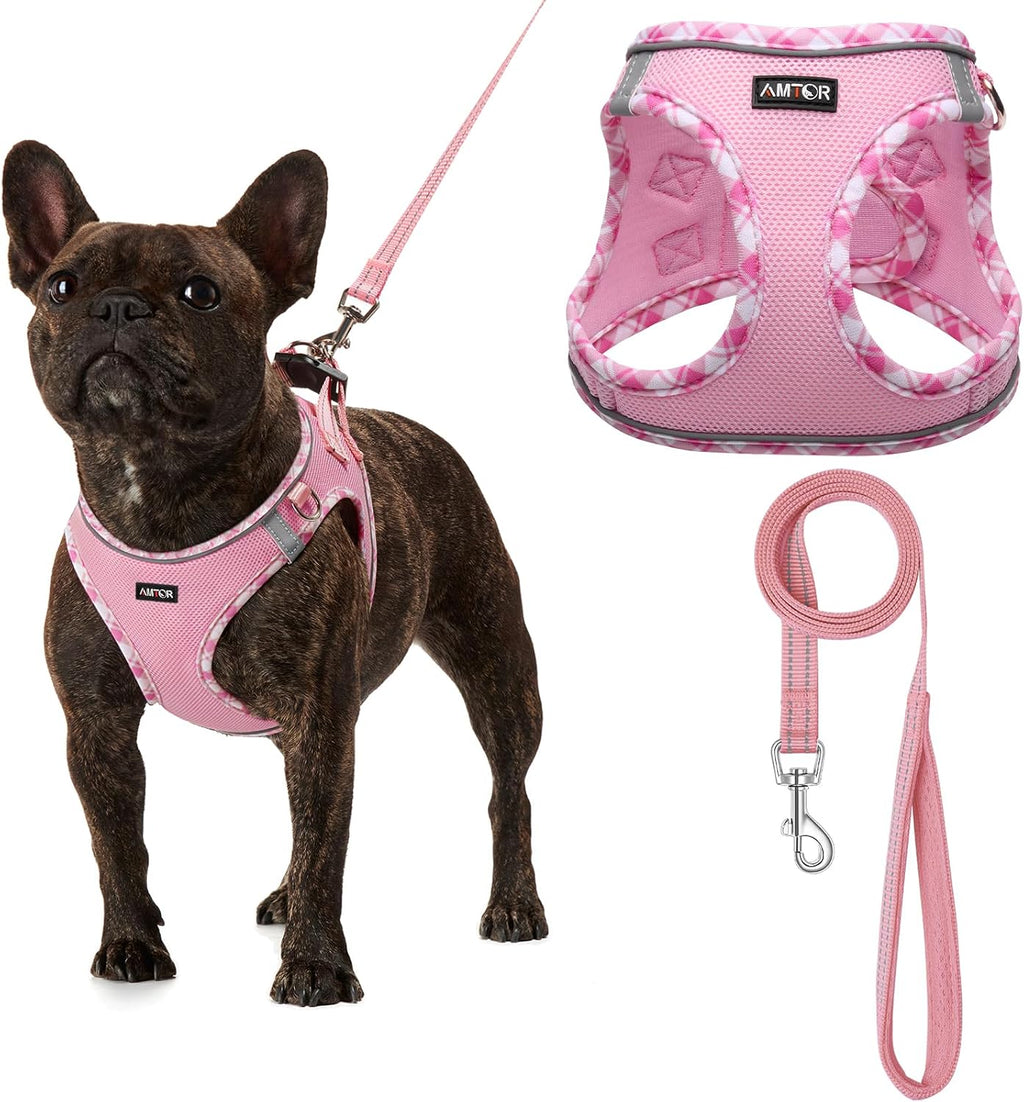 AMTOR Small Dog Harness with Leash Set, No Escape Easy Walk Puppy Harnesses for Training Walking, Step-in Reflective Soft Dogs Vest for XS S Medium Extra-Small Large Sized Dog(Pink/White,XL)