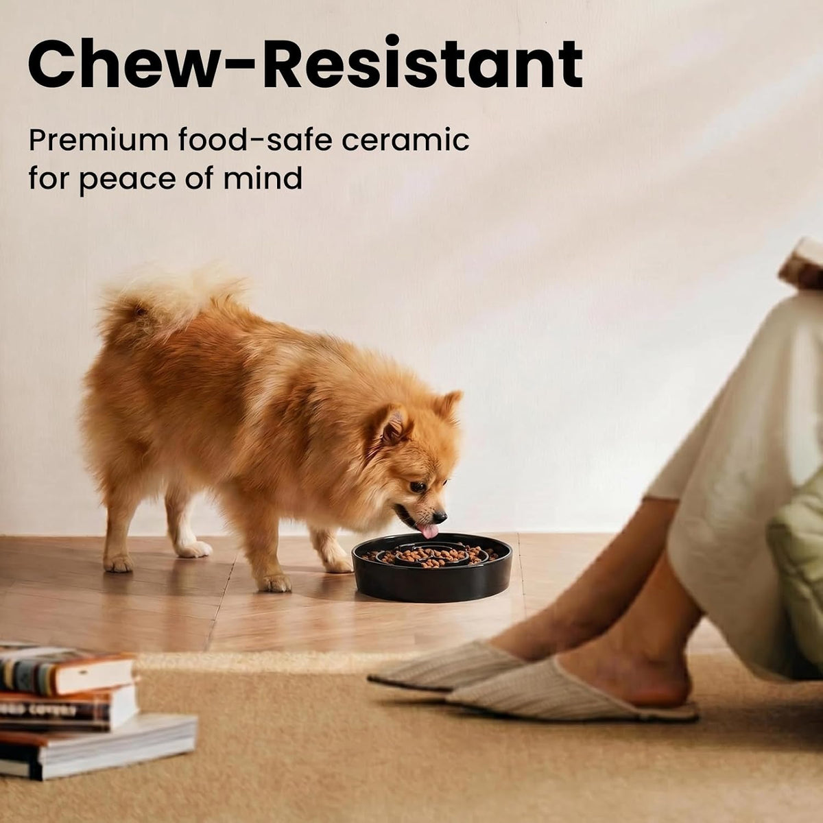 Ceramic Slow Feeder Dog Bowls 0.6 Cups for Small Fast Eaters,White