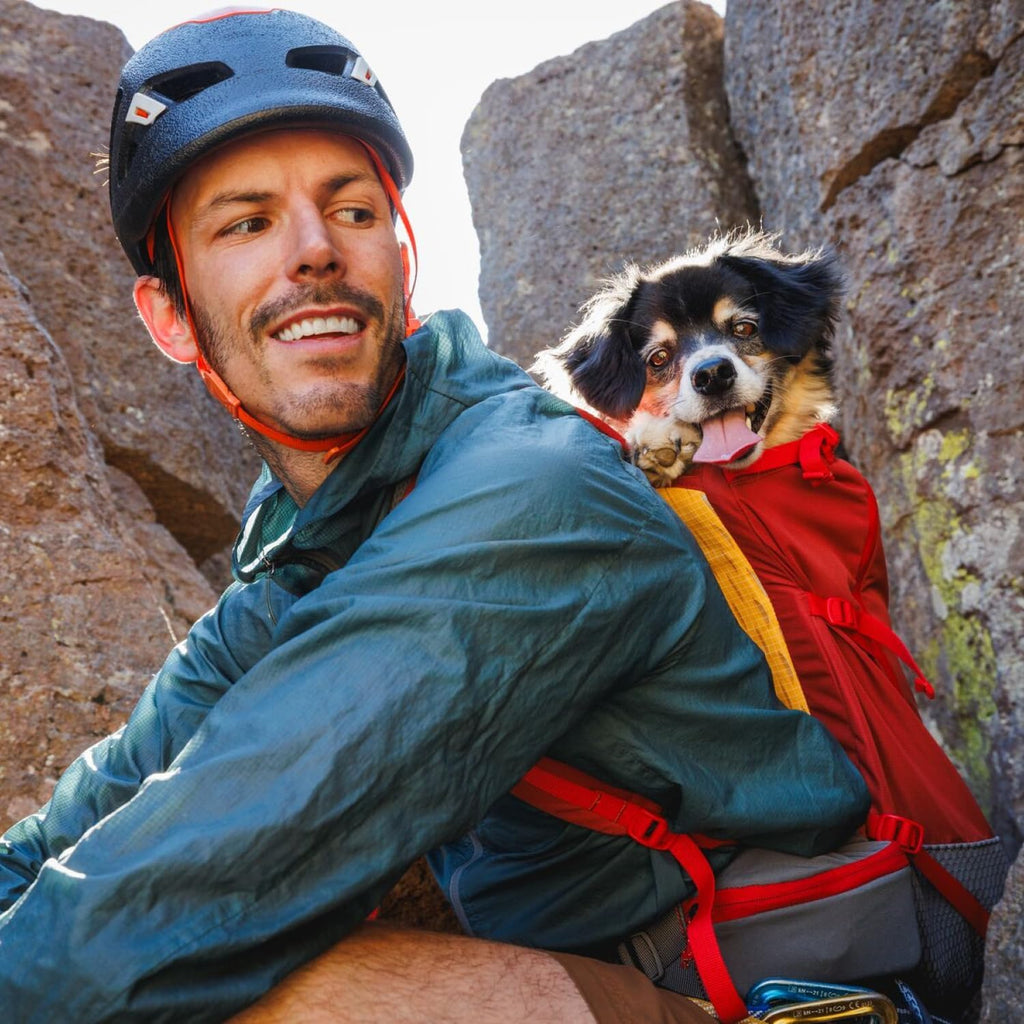 Ruffwear, Hitch Hiker Dog Backpack Carrier, Basalt Gray, X-Small
