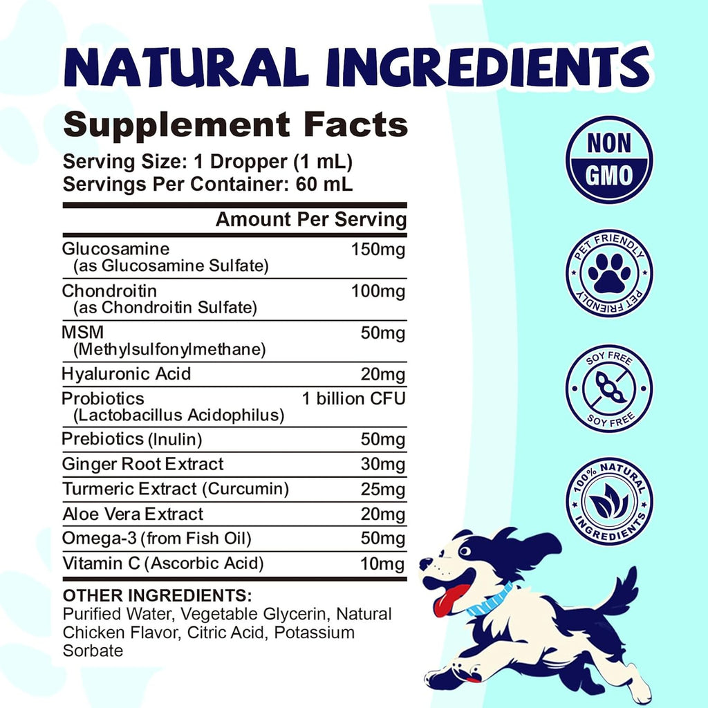 CFILIHTC 2 Pack Joint Drops for Dogs with Glucosamine, Chondroitin, MSM & Omega-3 – Pets Liquid Joint Supplement for Dogs & Cats – Hip, Joint, Mobility, Skin & Coat Support – Chicken Flavor