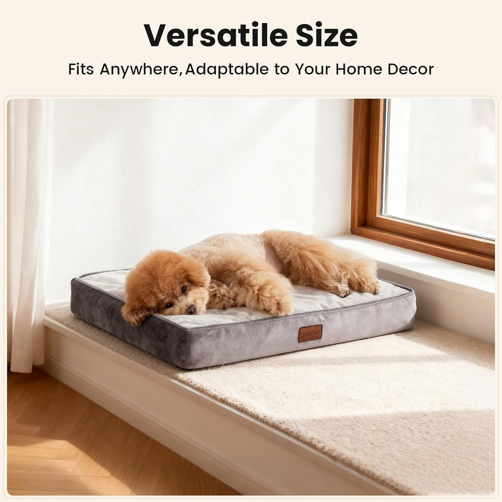 OhGeni Orthopedic Small Dog Bed, Reversible Memory Foam, 24 inch-S(Gray)