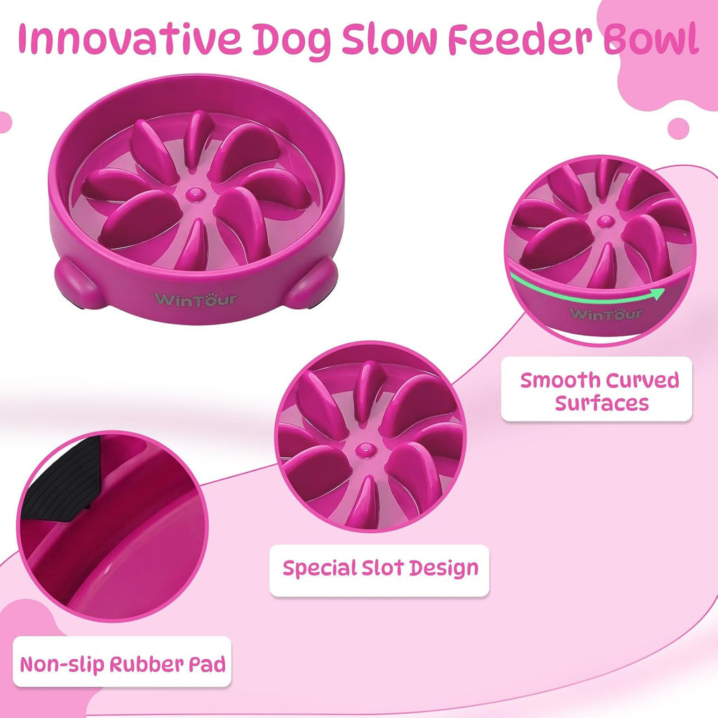 WinTour Slow Feeder Dog Bowls for Small Medium Pets, Round PP Dish, 1 Pack
