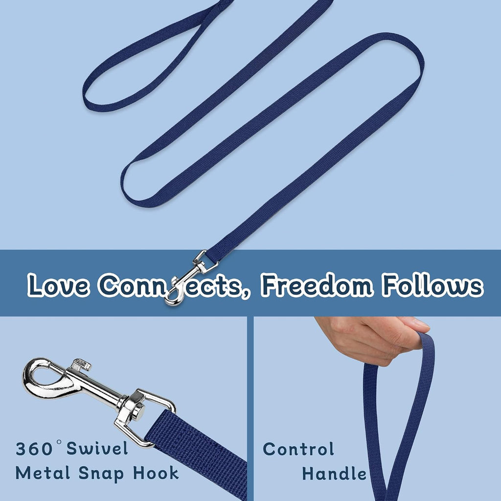 Small Dog Harness and Leash Set, Adjustable Small Sized Pet Vest