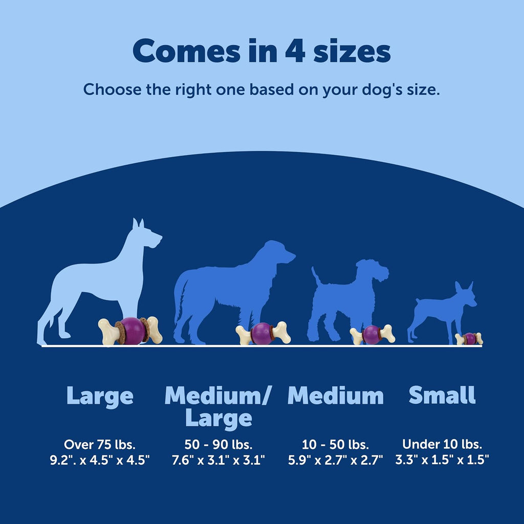PetSafe Busy Buddy Bouncy Bone Treat Holding Dog Chew Toy, Large