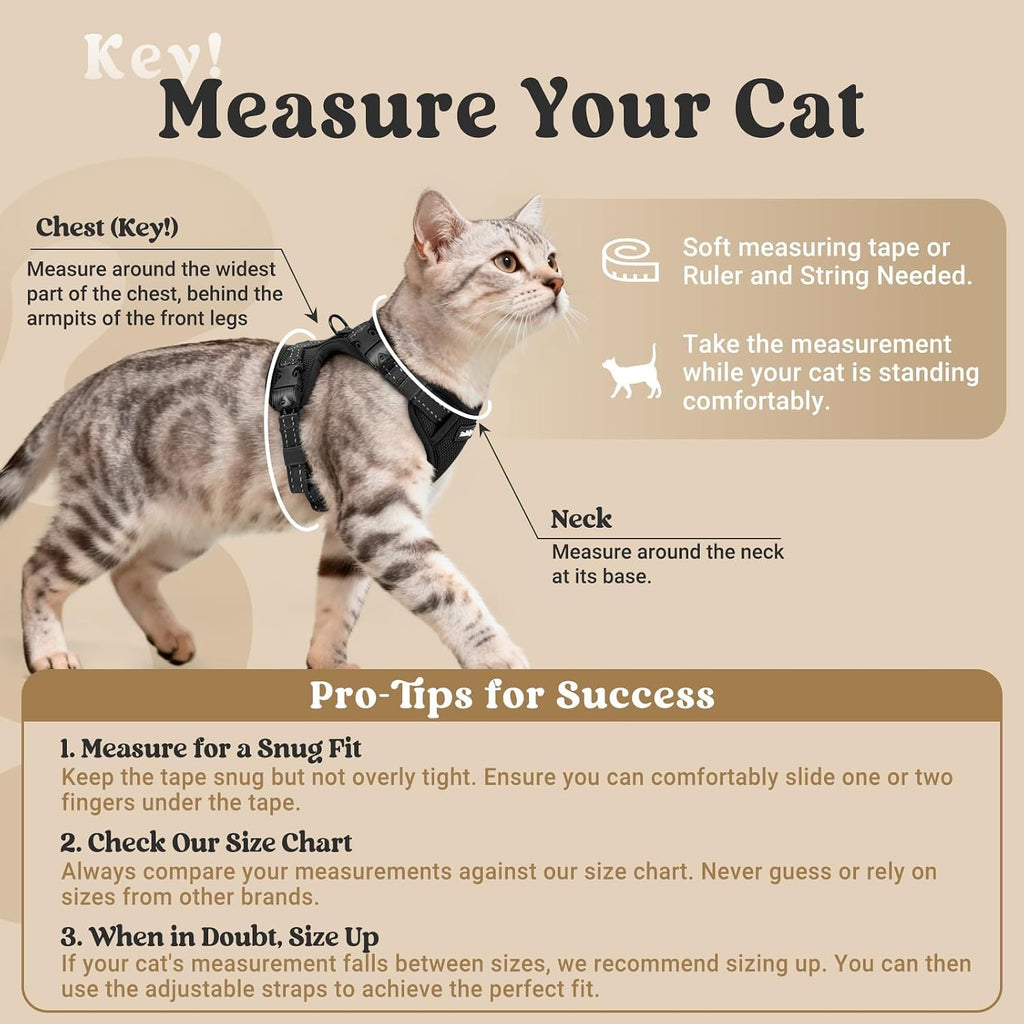 rabbitgoo Cat Harness and Leash, Easy-on with Neck Buckle, Black