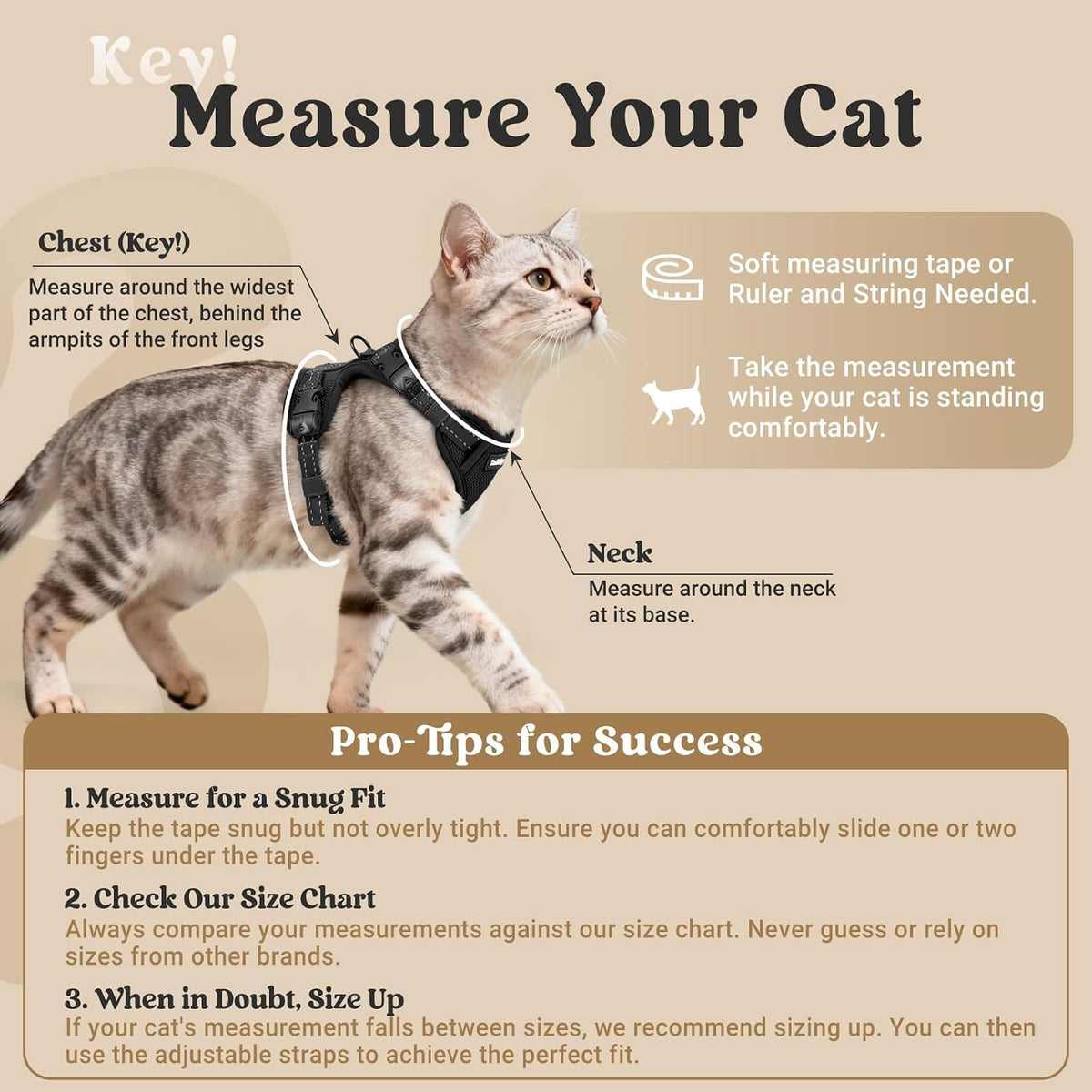 rabbitgoo Cat Harness and Leash, Easy-on with Neck Buckle, Black