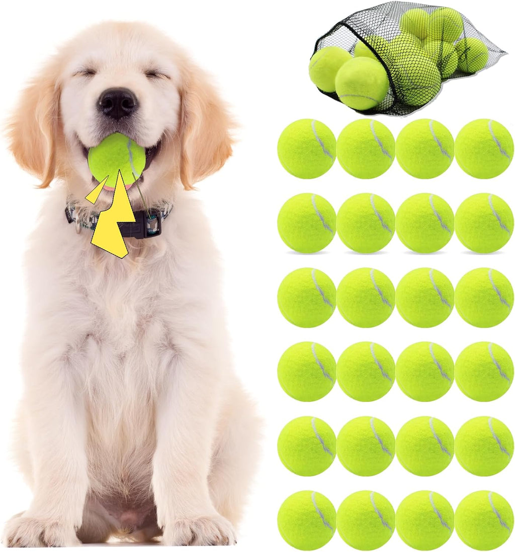 Swingers Squeaky Tennis Balls for Dog, 2.5 Inch Training Tennis Balls | Exercise Ball for Pet Dog with Mesh Carry Bag, Easy to Transport, Yellow, 24 Pack, For Interactive Play, Anxiety Relief