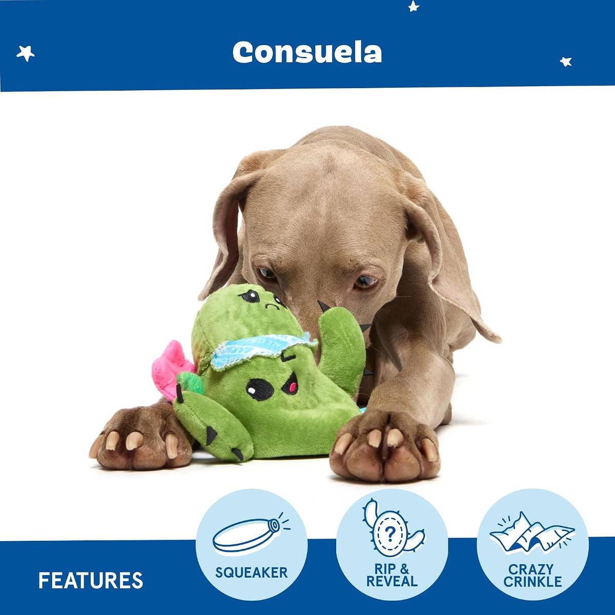 BarkBox Consuela the Cactus 2-in-1 Interactive Plush Dog Toy | Squeaky Dog Chew Toy with Crinkle Layers - For Large Dogs and Puppies