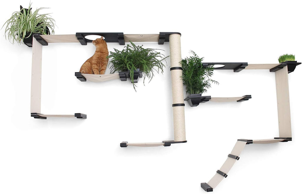 CatastrophiCreations Gardens Set for Cats Multiple-Level Wall Mounted Scratch, Hammock Lounge, Play & Climbing Activity Center Furniture Cat Tree Shelves