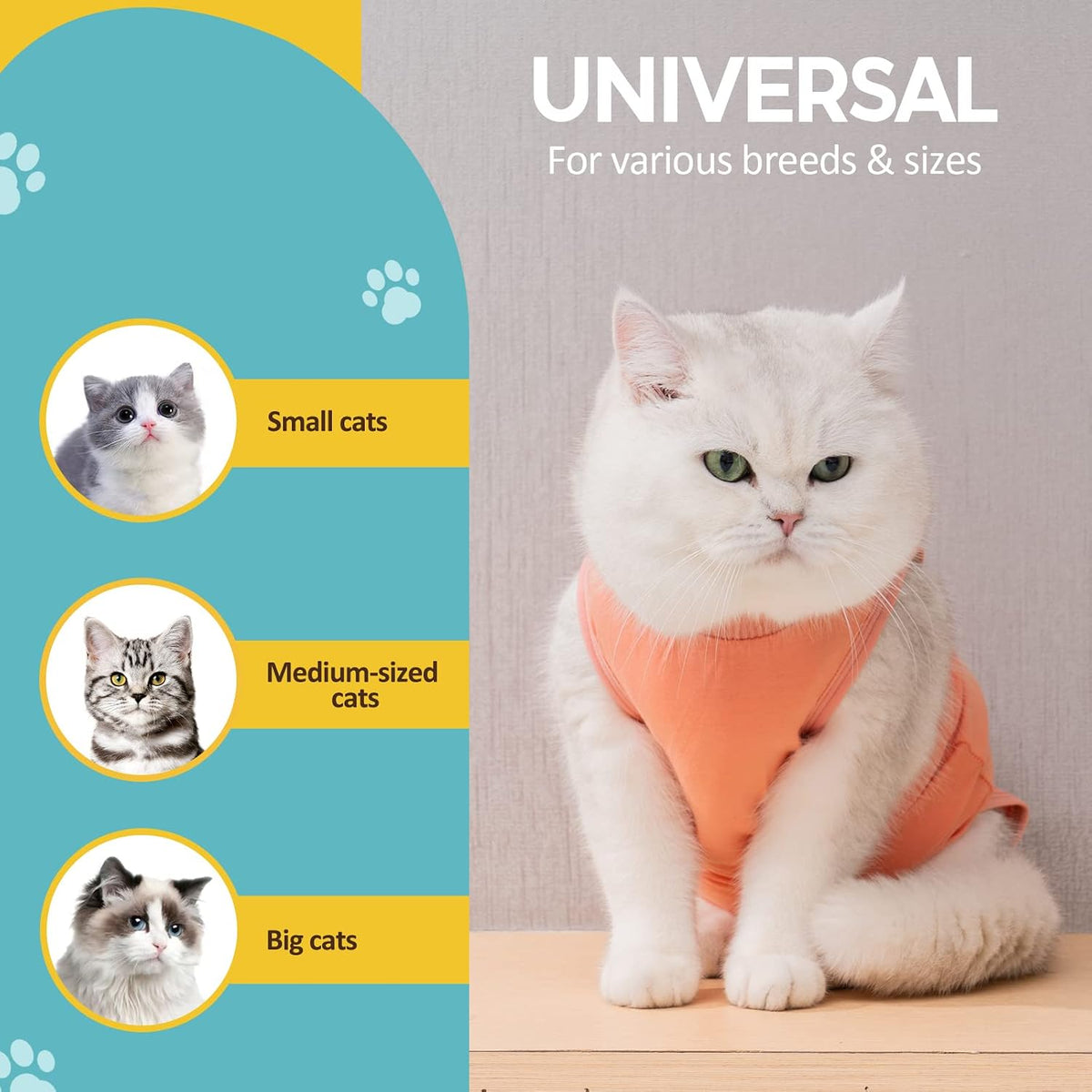 Avont Cat Recovery Suit - Kitten Onesie for Cats After Surgery
