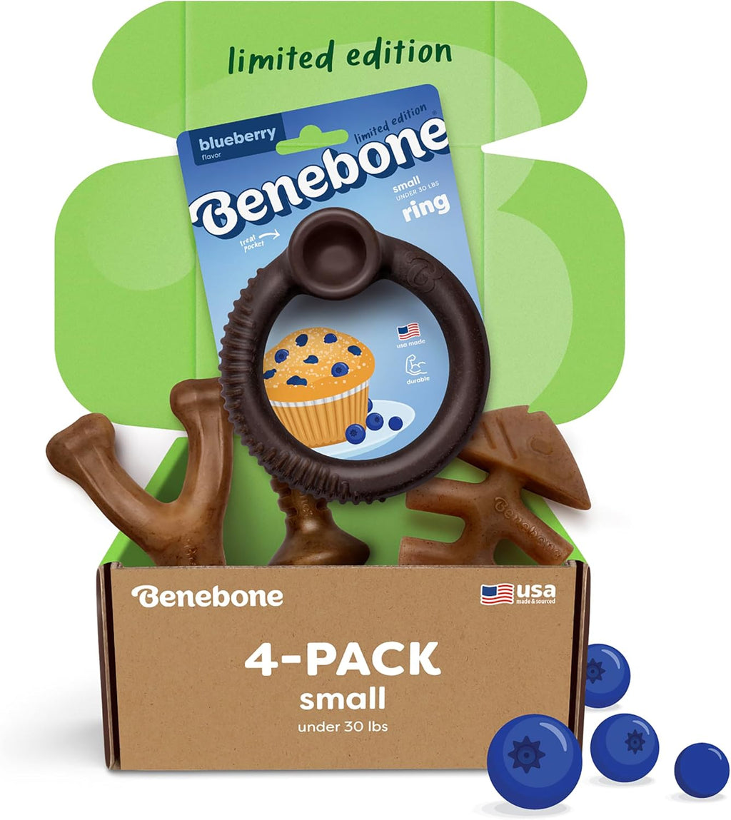 Benebone Blueberry Small 4-Pack Dog Toys, Under 30 lbs
