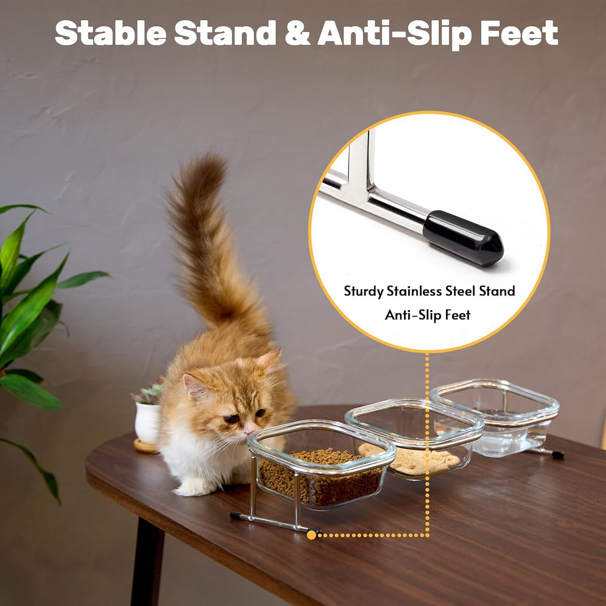 Elevated Cat Bowls, 15° Tilted Glass Raised Cat Food and Water Bowl | Stainless Steel Stand, 3 Large Capacity Glass Cat Bowls and 4 Anti Slip Feet, Suitable for Cats and Little Dogs