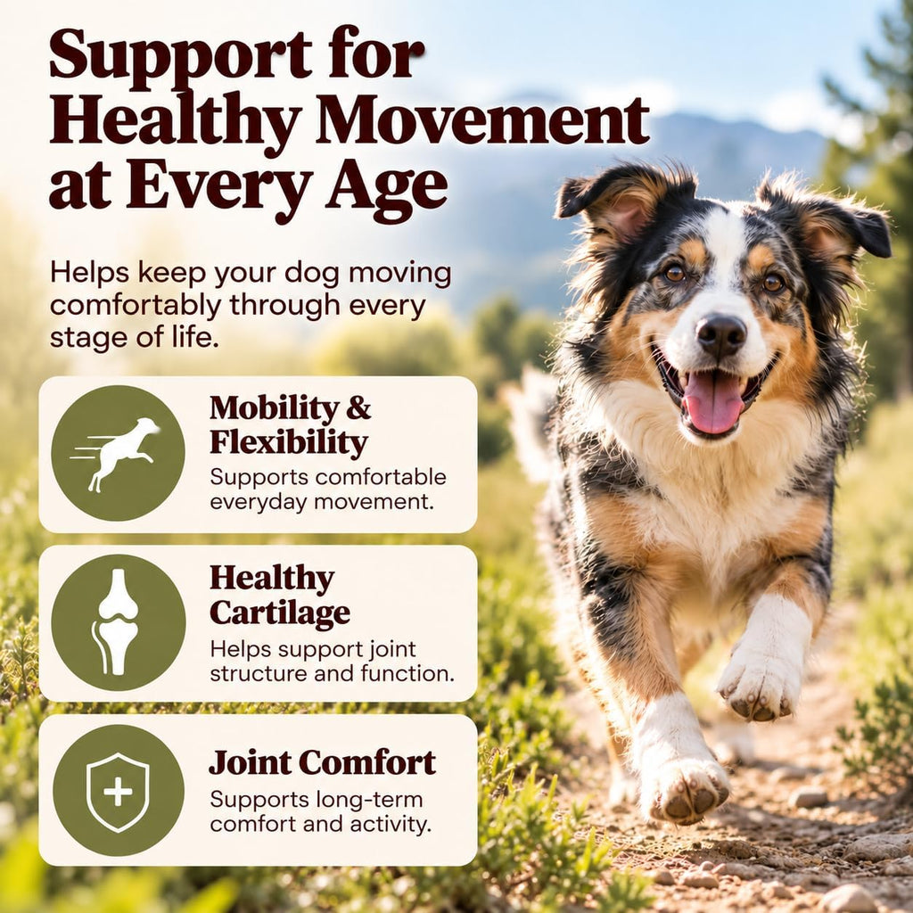 Natural Dog Company Hip & Joint Chews for Dogs, Chicken Liver, 90 Count