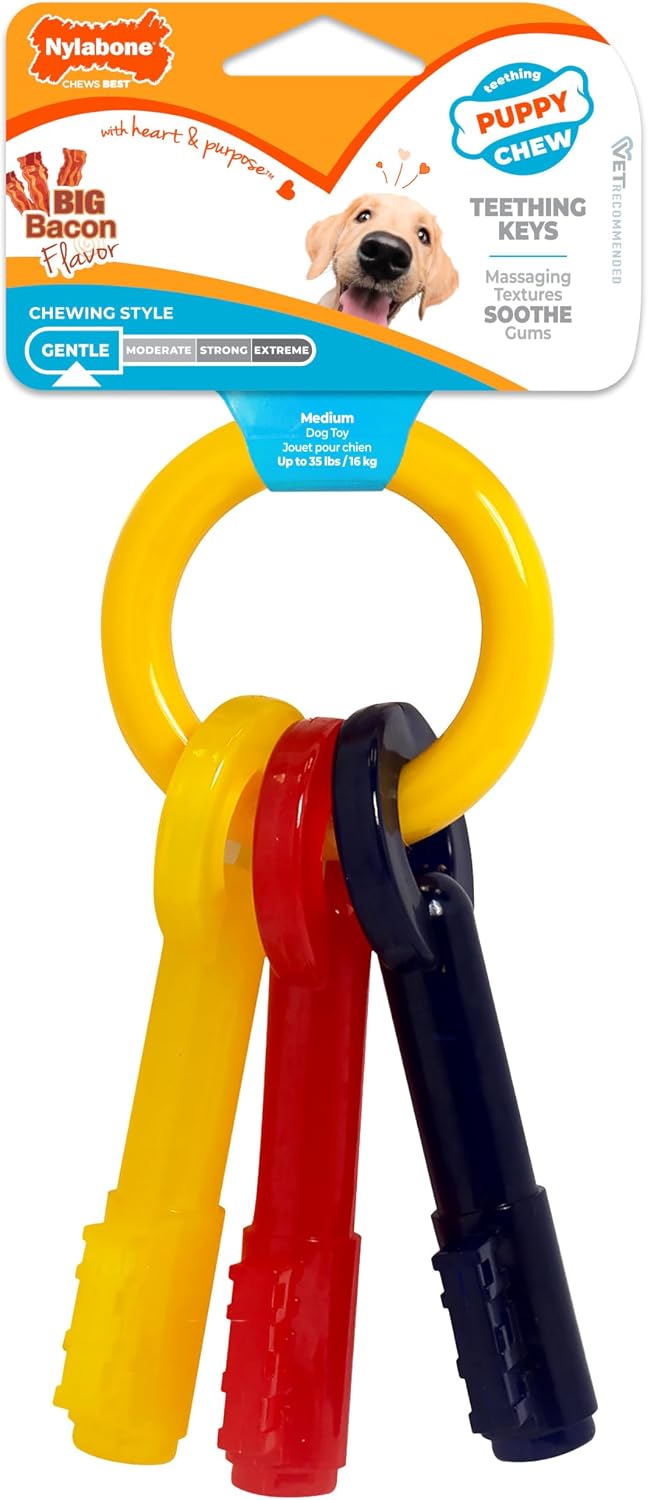 Nylabone Puppy Chew Teething Keys Dog Chew Toy, Bacon Flavor, Medium | Soothing teething toys for puppies, cute puppy essentials, puppy enrichment & teething relief, dogs up to 35 lbs