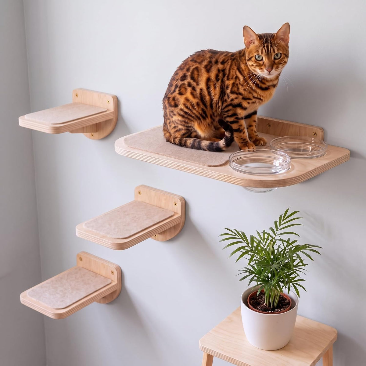 INICIO Cat Shelves - Feeding Shelf with 3 Cat Wall Steps - Natural Wood