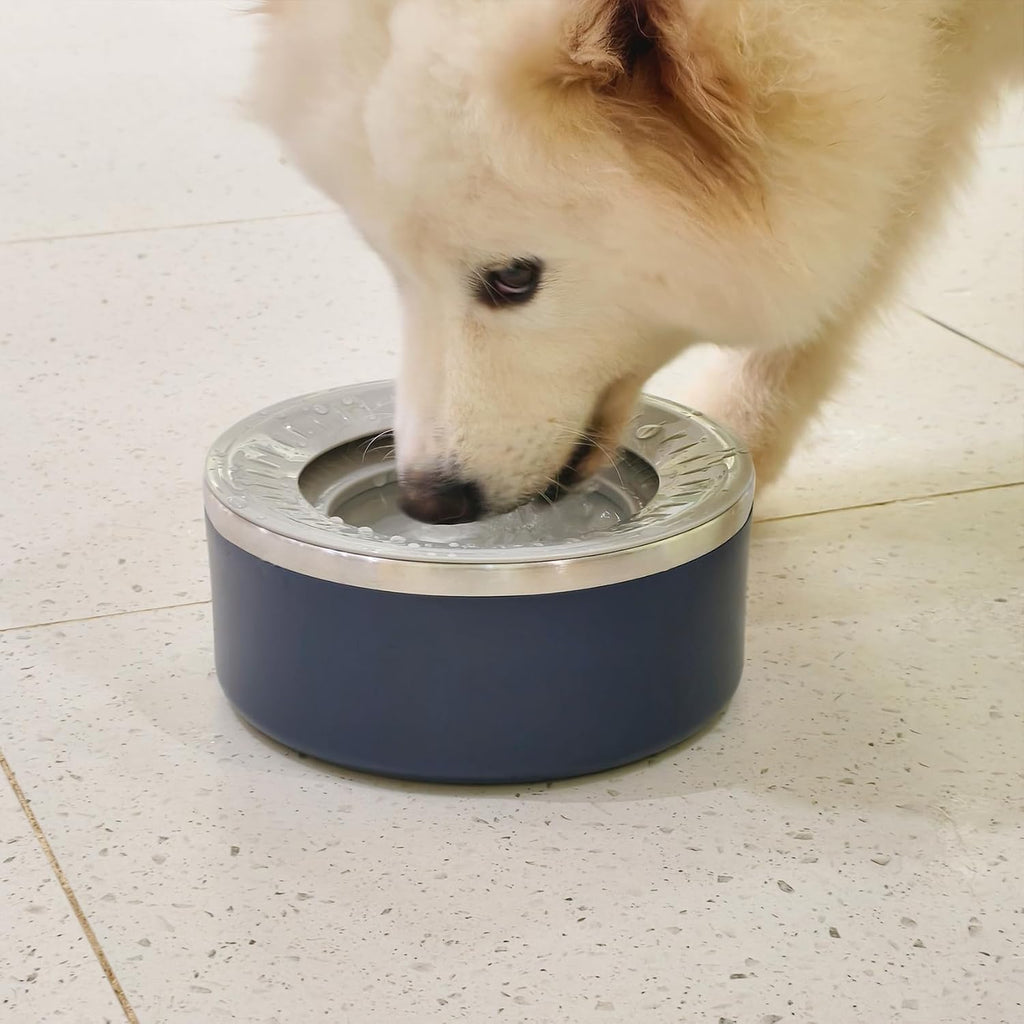 Stainless Steel Dog Water Bowls, No Spill Water Bowls for Dogs, Blue